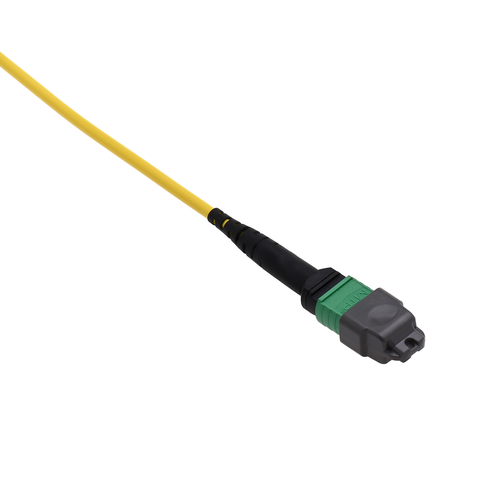MPO/MTP APC Female to MPO/MTP APC Female Patch Cords - 12F Single-Mode SSF