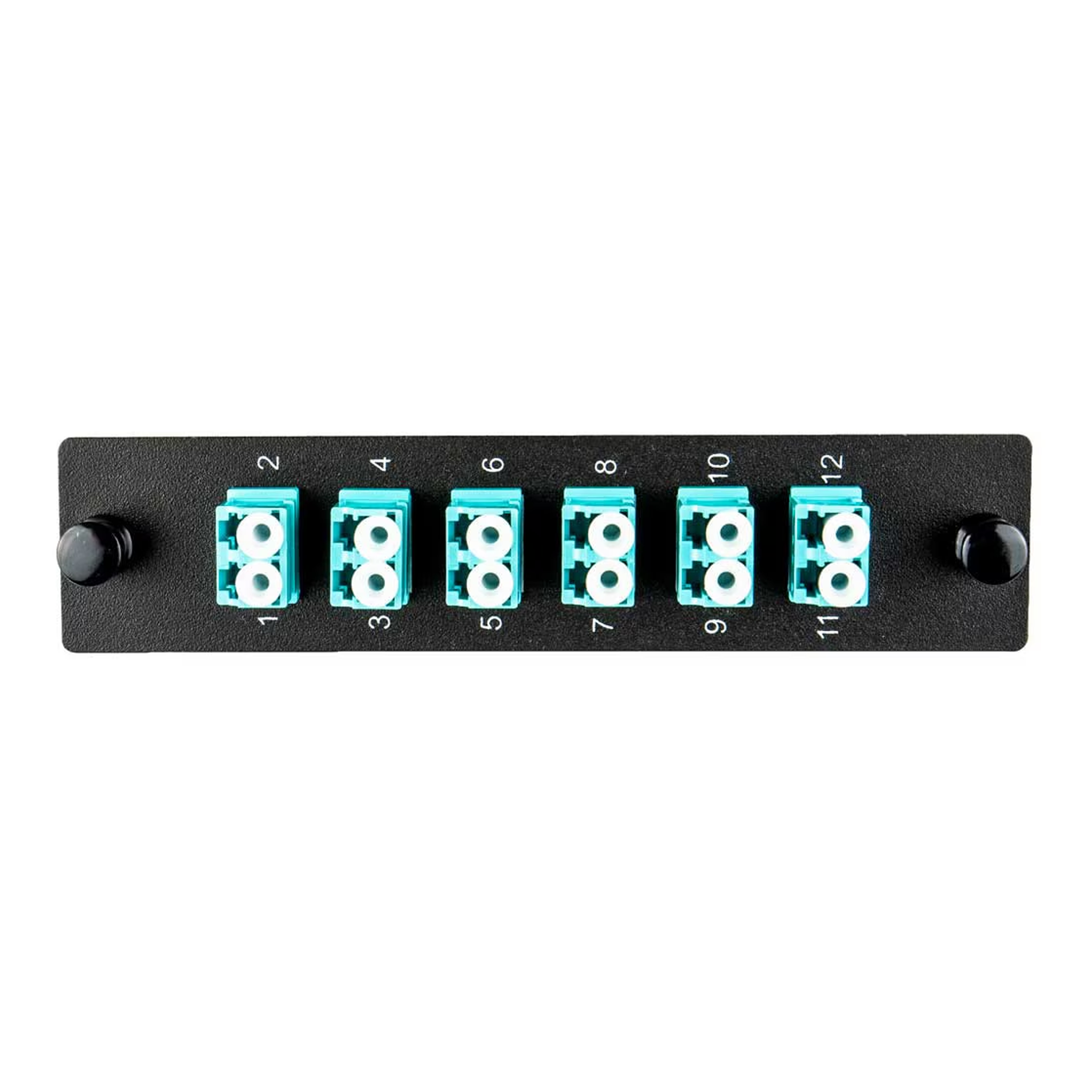 LGX Panel Insert - 12 LC – Cleerline Technology Group